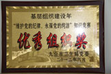 基层组织建设年优秀组织奖